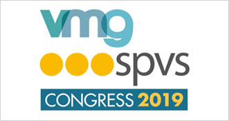 VMG logo