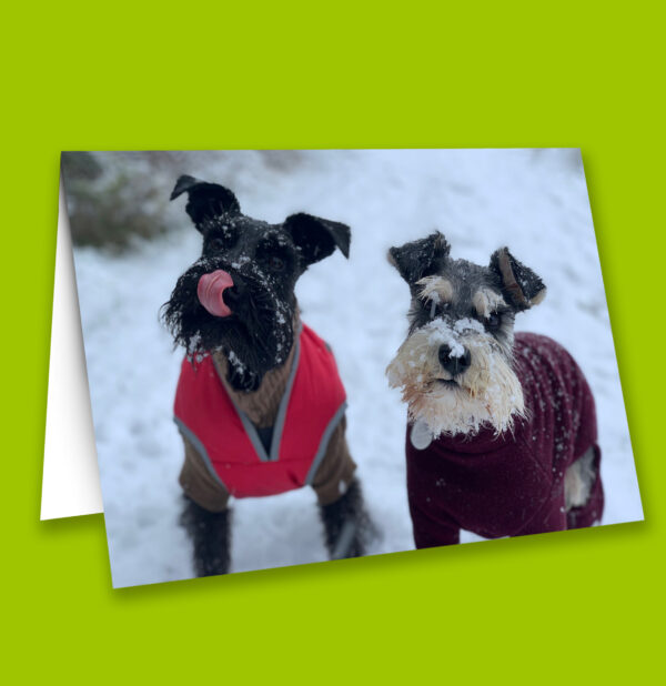 Vetlife Christmas cards (pack of 9) - Image 3