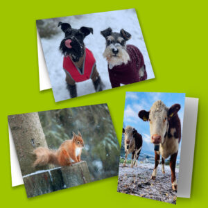 Vetlife Christmas cards (pack of 9)